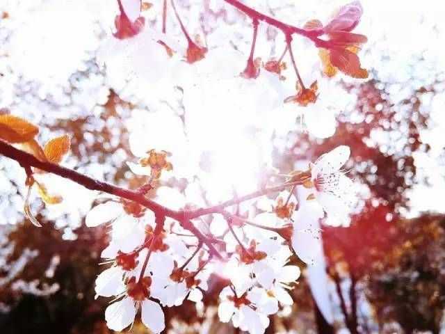 03c80403cf51a60e5cbc60f6780a4b39e8454699