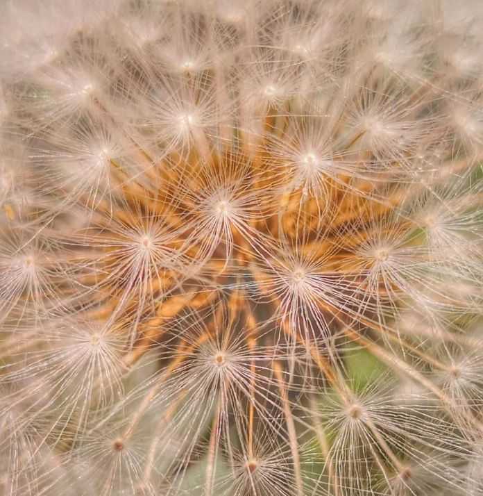 0467b2c7f1095a1589a93bd68714a9718c51c053 @ 李澤洲 | 華為mate10