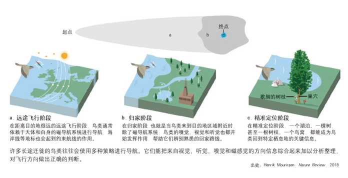 0d5c554fb34fb1233e952551f57946aba59b30c0 磁微粒假說