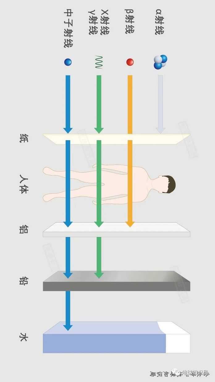16e54bc87dd2b0ed27d56ccbc09fa78907a3870e ,底圖:shutterstock)