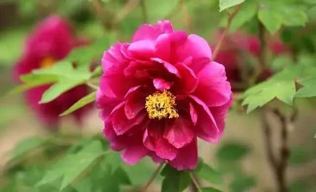 17c60ab50befd859b236519666c897b1374244cd