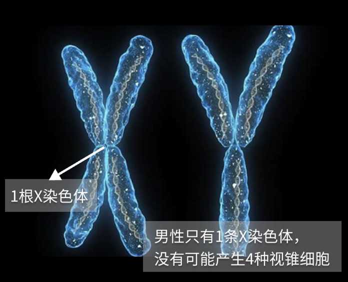 1c09c190c2c25f65a80f2ee7ad9f022037582c63 圖源:news.youth.cn