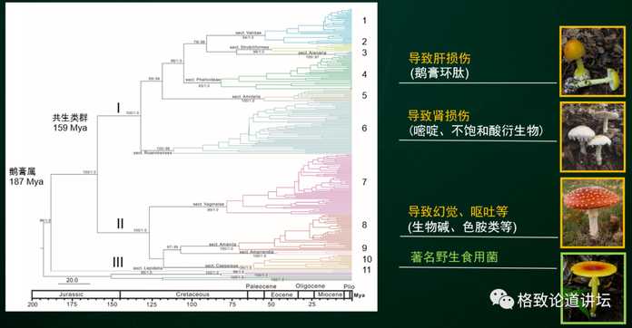 1c57b262d77d48b3a94d390a909c684f7d12ce02