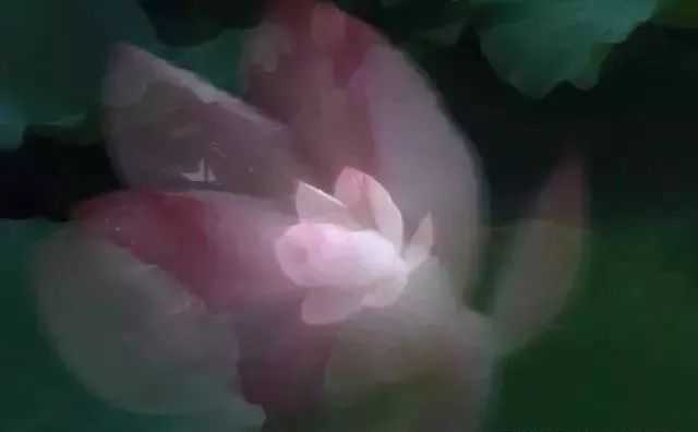 1d5966e538e8a7f9e9c85c328a350b5e7c0f380d