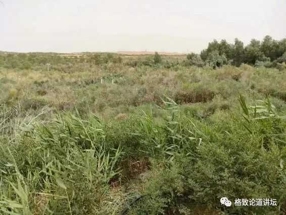 23714c373096615dbeee23d1626db1fa757df97a 塔中的植物園
