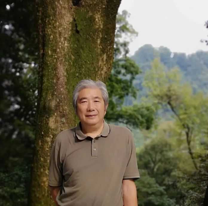 岱峻