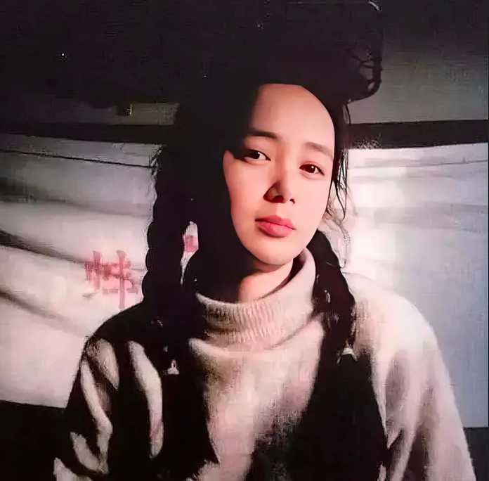 圖六，蔣雯麗出生於安徽省蚌埠市，
