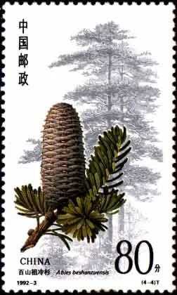 269149be7a7c998ccfdcbcd02bc5c9e4ca11406e 印有百山祖冷杉的郵票|中國郵政