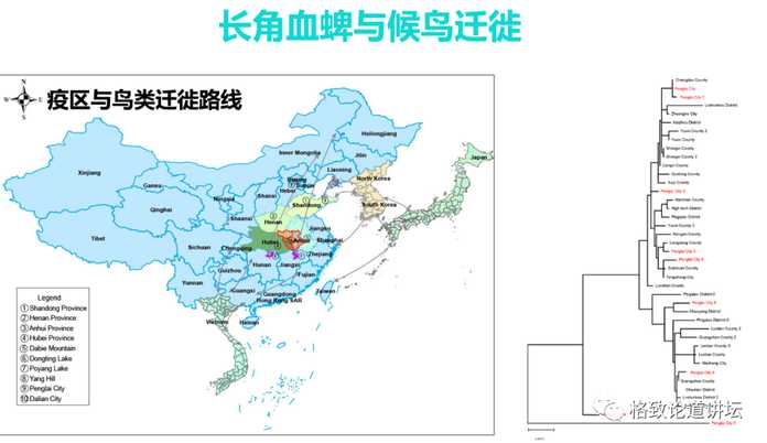 2d4c3f6cd6e169ff558a06db1f527ac4a4a33937