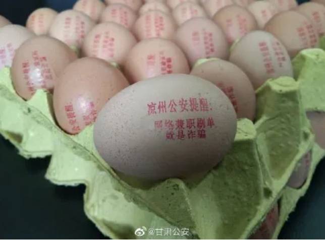 連警犬都拉出來下海了