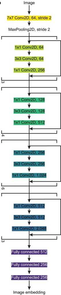 基於 ResNet50 的神經網路