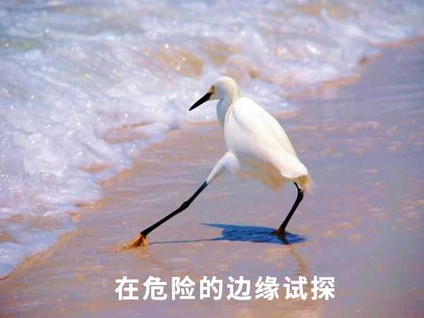 316a4be887f5e8f74d58144af672fd0ab98a5268