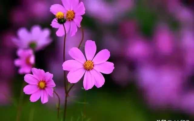 3499bd965453b656a88e7275e4d2b1d7ee719ae6