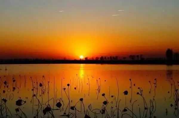 3faa7129e051675fd2d3888a15c5b40cb3de14fb