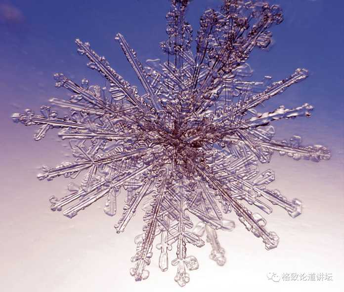 40b4b701a596fb97f29e657d05b40ce99891159a Part.4