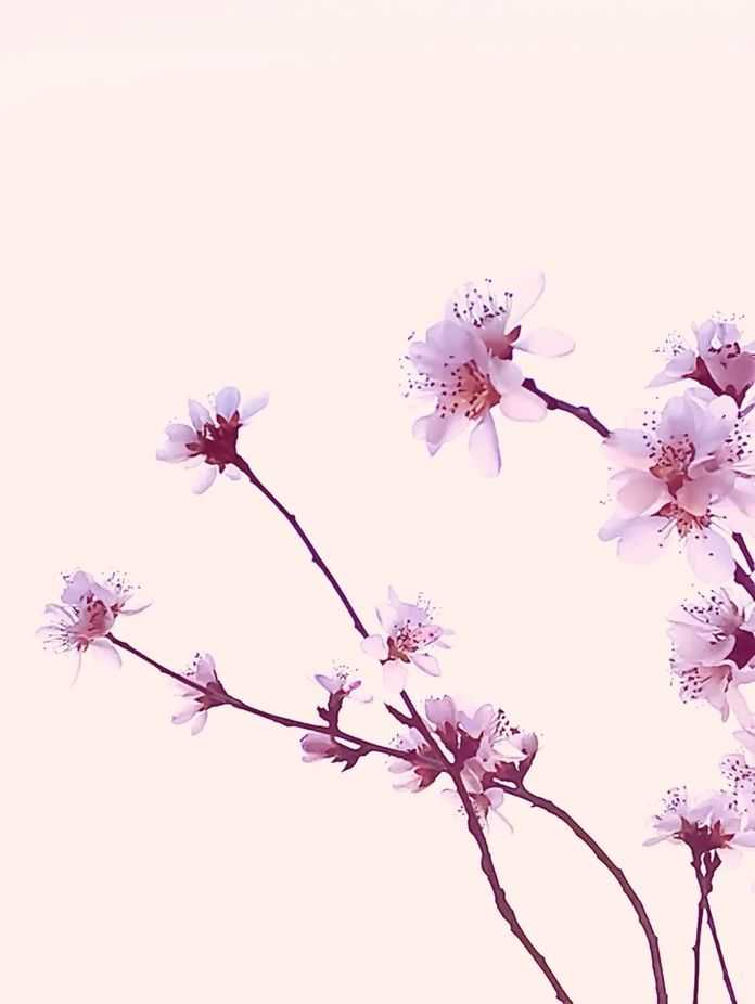 425ea659f9a6c74b6993781c28561a378296da14 @妞妞