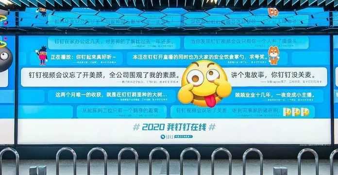 嶗山白花蛇草水