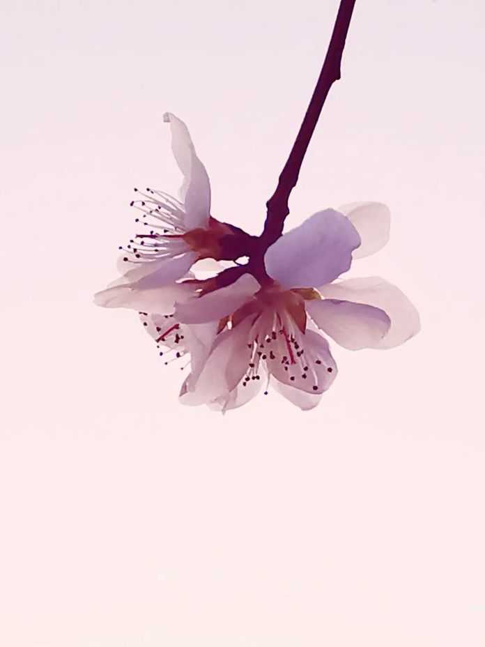 4a5d58c7ddaabe687c832fff19367e2f995fd35d @妞妞