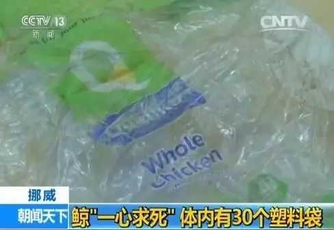 4a7208d442ff2bc27858c34b1af092ea9b972fff 動物學家們用吊車,