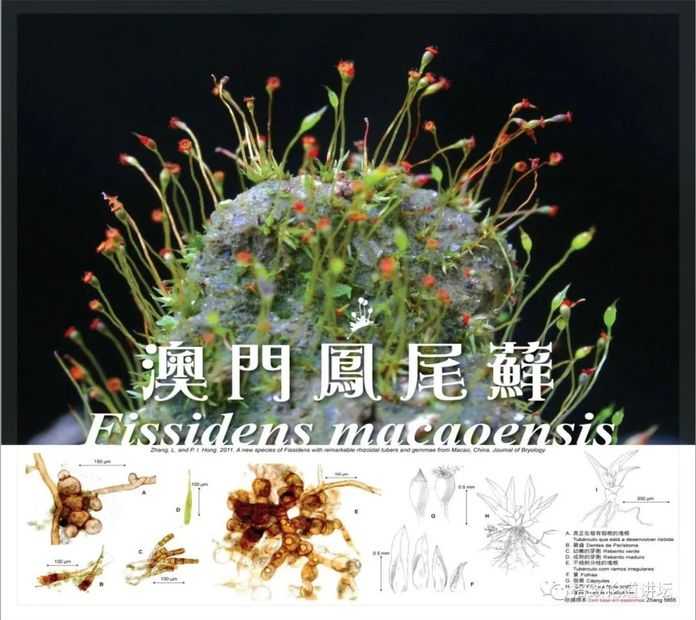 4a82e14483998d7cc89298fd923af900761c87ea 2011年發表於