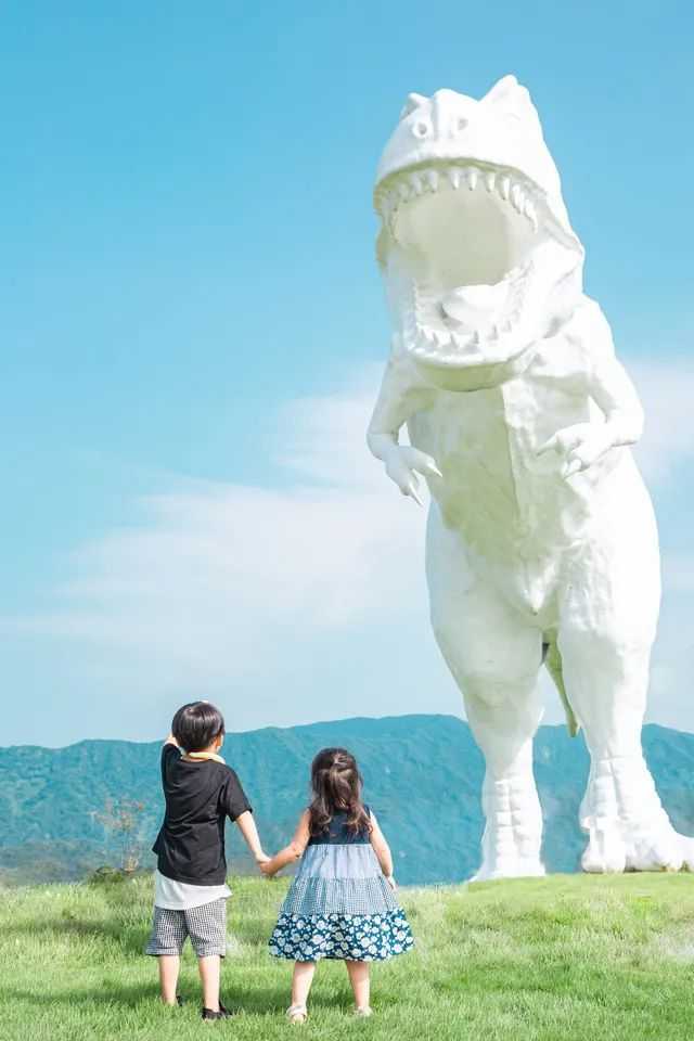 特別獎🏆