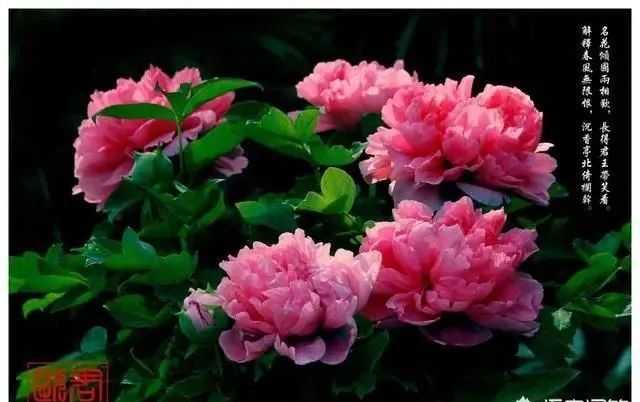 5862a7594f9ca9f56d6fe7b52fe2eb30b78d44f5