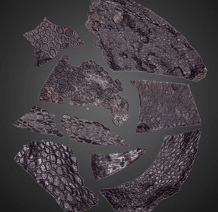 61098babd6f2ac4b0fa510ba4c53012aecd13eb2 