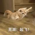 ，簡直就是和中國學生「雙向奔赴」