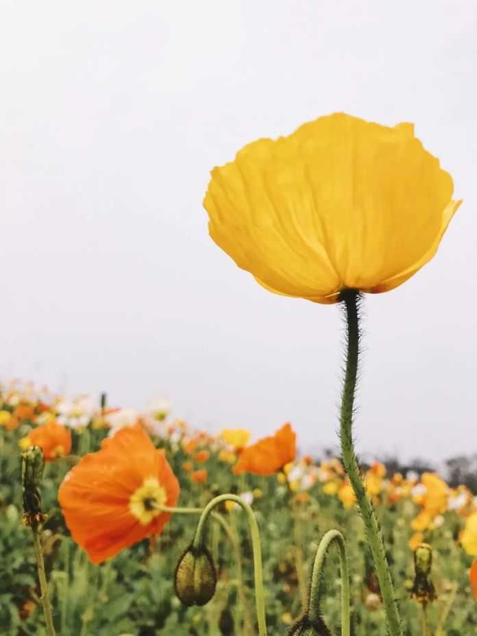 63f682b4720c63f3dd95e94e408c77c6ef15197c @Ada
