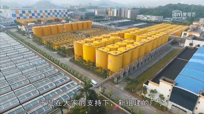 來源:視訊截圖 來源:視訊截圖