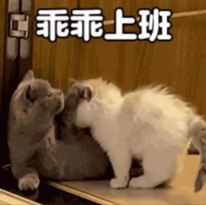 67f82b7b1ca6cc977624bd7e64d547268ba21d61 怎麼鑑別真假珍珠?