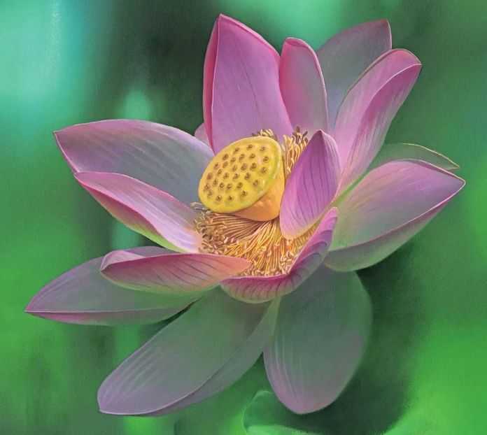 一芽知春，一葉知秋