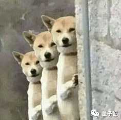 6bc6d6bcee802f3d3c080830934ce7b20b83b1bf 不僅如此,公司