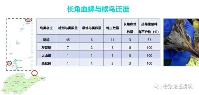 6c2df61a06e94c2c5f58cf9ca2dd67ef9c0e9e7e