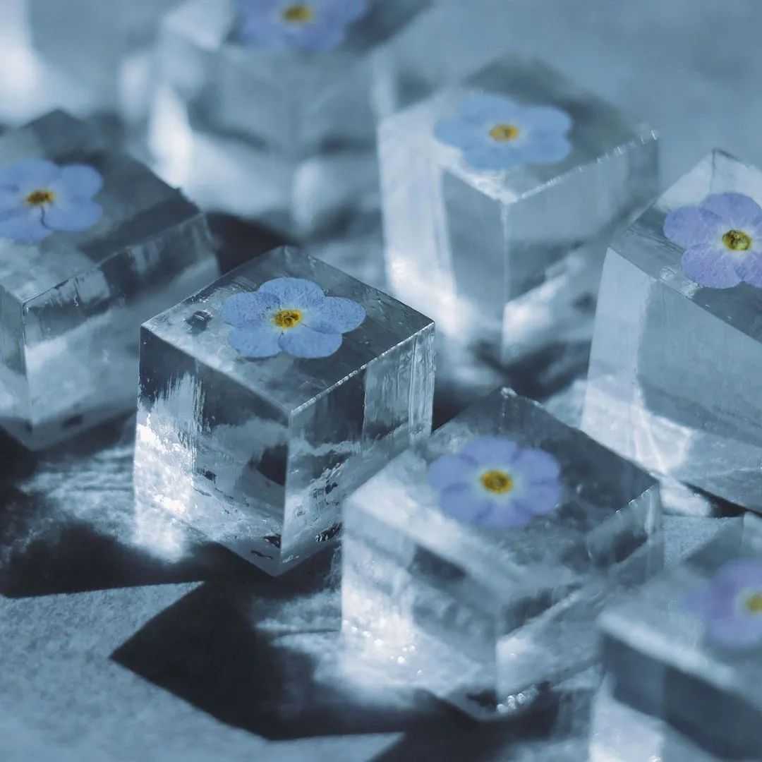 6e7b86255f22393c1986f2213457f8da96b8427f 彷彿置身於一個奇妙的世界裡