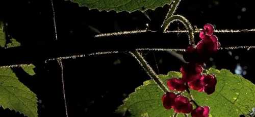 764acda575d799e8db7f9ff2a45ef3d84605422e