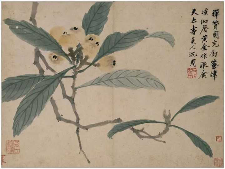 沈周 臥遊圖冊 之一