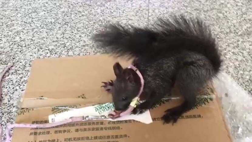 7ea3e87599315515220015a4f8f99c5a36f020b7 )緝毒小隊就是典型的證明