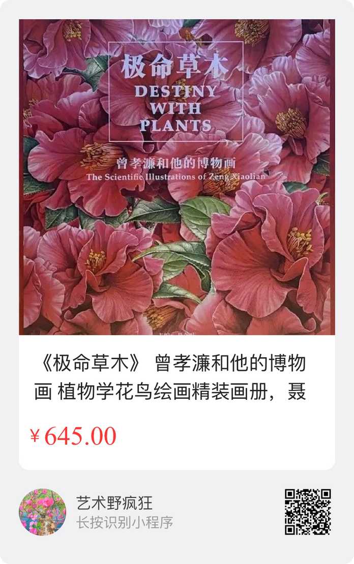 掃描海報二維碼，即可下單