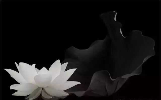 81904da02ad1c91d4da6f8c9fd3e280fc54b1eef 【黑與白】