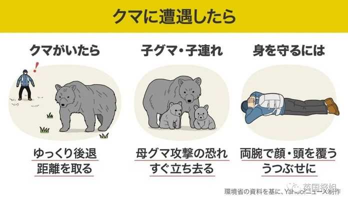 （圖源：yahoojapan）