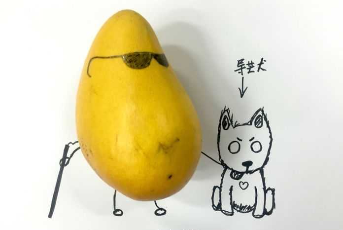 8dfb3b596705a3b751ede484c140997e7b7f0008 這是一個芒果帶著它的導盲犬,
