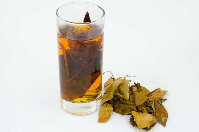 葉子泡茶