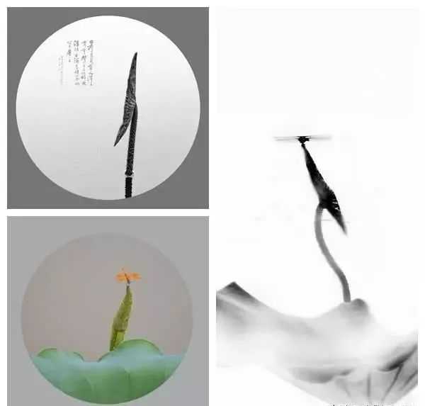 拍攝小荷尖尖簡潔作品