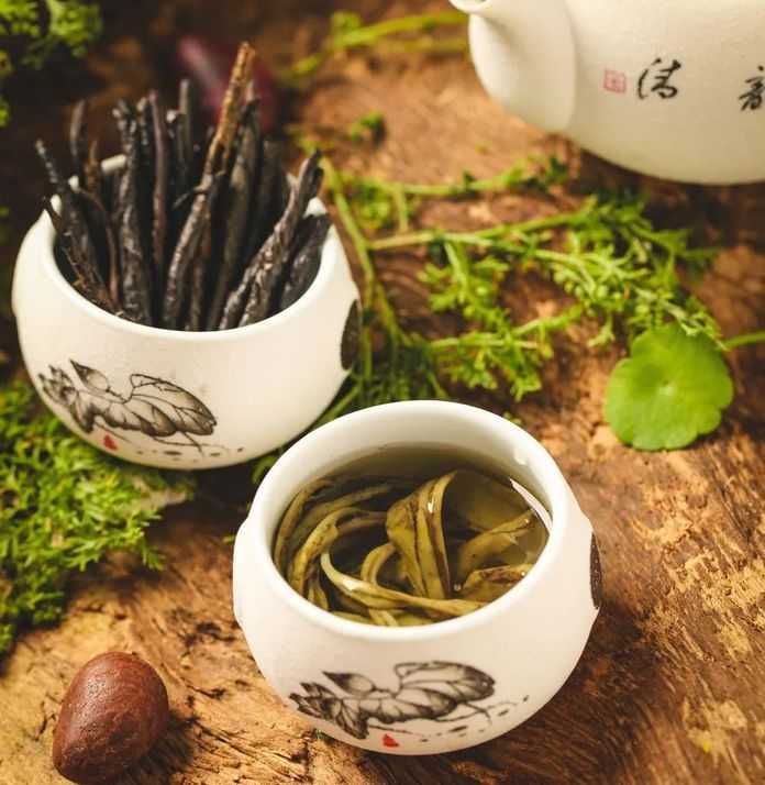 苦丁茶