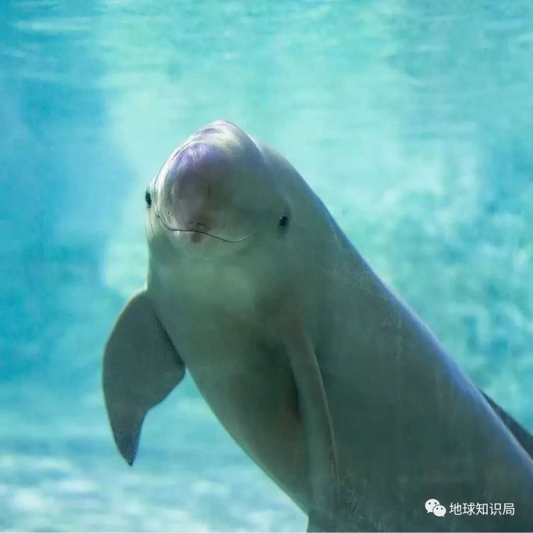 945f3b3eb9382a1af5c37fd0a7e6f7d25d48191c (圖:圖蟲創意)