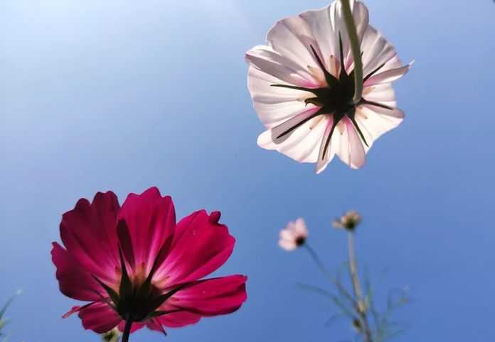 94d1f41106a74950dcd9953abf502577728b789b @蒲雲濤 | meizu 16th