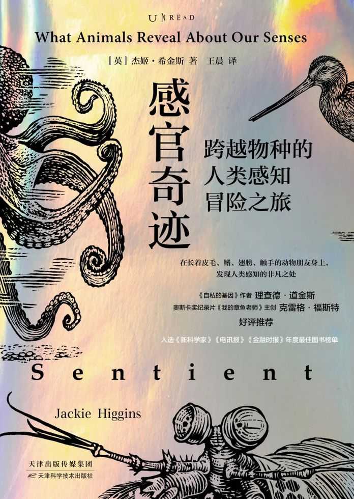 [英] 傑姬·希金斯｜著