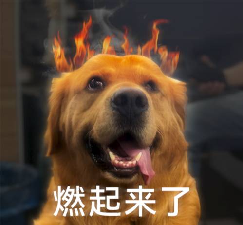 9523af19244ac7f3a068b3cfc777a4df7c117fb8 這誰聽了不心動?
