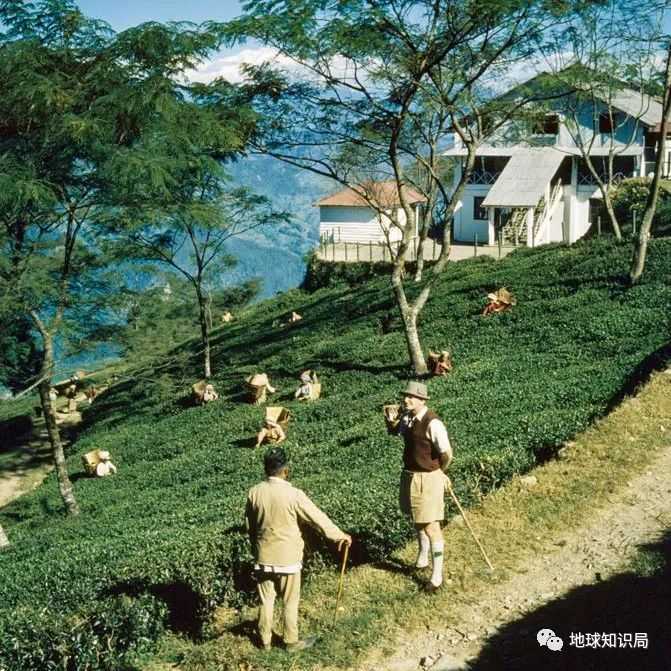 （60年代，圖：tepapa.govt.nz）